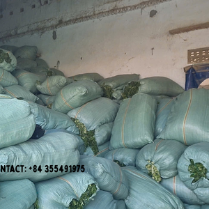 ผักกาดหอมทะเลแห้งทั้งหมด/สารอาหารสูง ulva Lactuca จากเวียดนาม/มิสเจสซี่ - Product Image 5