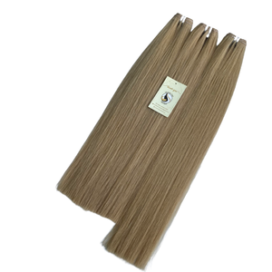 Brut Vietnamien 613 Vierge Cheveux Weave Bundles Du Vendeur 100% Premières Non Transformées de Cheveux Humains 613 faisceaux de cheveux blonds - Product Image 1