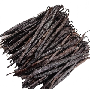 Vainas de Vainilla Frescas, Capullos Verdes en Crecimiento en Planta, Capullos Enteros Naturales y Orgánicos para Uso Culinario e Industrial - Product Image 5