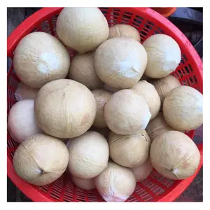 Kelapa muda segar dari kelapa Vietnam untuk minum kelas pilihan kelapa muda segar