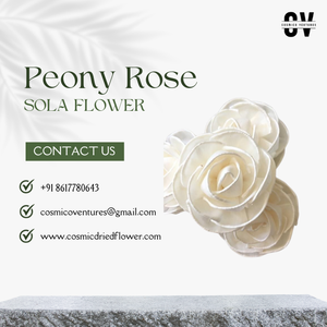 คุณภาพสูงเป็นมิตรต่อสิ่งแวดล้อมทำด้วยมือดอกโบตั๋นดอกกุหลาบโซล่าดอกไม้ผ้าฝ้ายกกกกงานแต่งงานวันฮาโลวีนวันพ่อ - Product Image 3