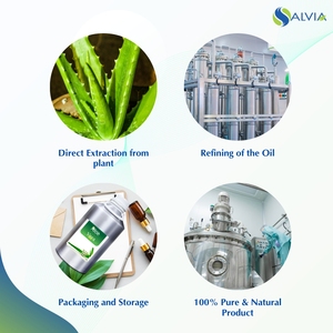 Huile d'aloe vera en vrac | OEM disponible | Qualité vérifiée avec rapports CoA & GC - Product Image 4