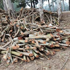 Bois de chauffage séché de haute qualité-bois de chauffage pour brûler du Vietnam - 100% taxe d'importation gratuite - Product Image 5