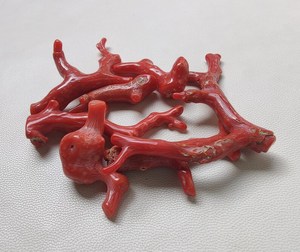 100% palo de rama de Coral rojo I pulido Natural 110 Cts cabujón de rama de Coral italiano pulido joyería de fabricación de piedras preciosas de Coral rojo - Product Image 2