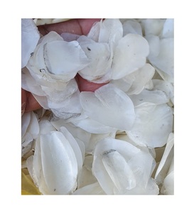 เครื่องชั่งน้ำหนักดิบจากเวียดนาม/เครื่องชั่งปลากะพงขาวจะถูกส่งออกไปในปริมาณมากเพื่อทำผงคอลลาเจน-แอนนาทำ W/A + 84982153058 - Product Image 1