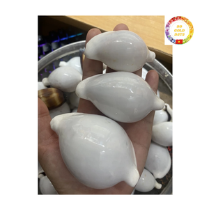 เปลือกหอยไข่เคลือบเงาแบบพรีเมี่ยมสำหรับทำเครื่องประดับงานฝีมือและงานแต่งงานแบบทำมือ - Product Image 1