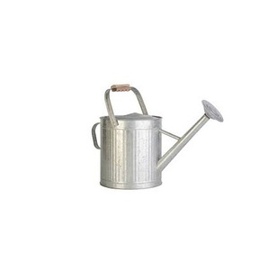 กระป๋องโลหะสำหรับรดน้ำพร้อมสเปรย์สำหรับบ้านสวนดอกไม้แก้วและขวดสเปรย์มิสเตอร์ - Product Image 1