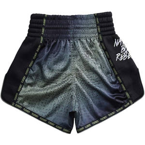 Unisex XL personalizado Muaythai boxeo MMA satén lucha usa Unisex sublimado impreso Logo cintura elástica gimnasio pantalones cortos logotipo frontal - Product Image 2