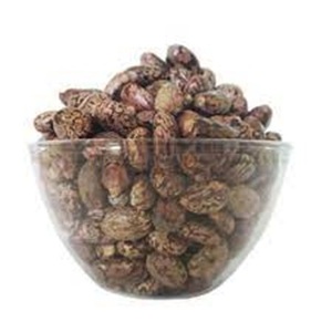 เมล็ดจatropha แห้งเกรดอาหารคุณภาพสูงน้ำมันที่ใช้ในป่าสกัดน้ำมันจากการเพาะปลูกแบบดรัมบรรจุสำหรับการส่งออกทั่วโลก - Product Image 4