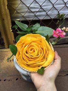 ผลไม้ตากแห้ง100% มะม่วงธรรมชาติจากเวียดนาม - Product Image 5