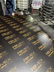 Panneaux de placage E0 de film vietnamien épais de 16mm 1220*2440 contreplaqué de décoration d'émission de formaldéhyde de Style de conception moderne - Product Image 4