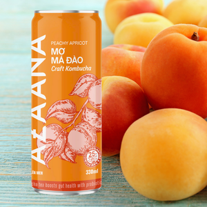 Kombucha buena calidad melocotón albaricoque vitamina buen embalaje personalizado al por mayor hecho en Vietnam fabricante - Product Image 1