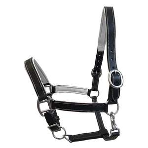 Fabriqué à la main Western Selle Style Cuir Cheval Halter Forte Confortable Quotidien Équitation Tête Collier Personnalisé Couleur Logo Fait - Product Image 5