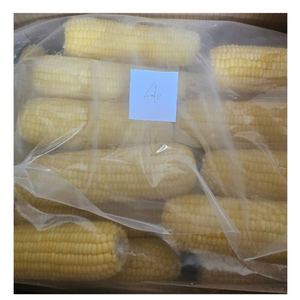 Resplandor de maíz congelado natural 100%: maíz congelado amarillo de Vietnam, dulcemente fácil para platos, bebidas y creaciones populares de maíz congelado - Product Image 1