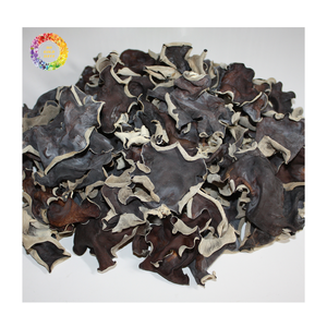 Champignon noir séché, Champignon noir le plus vendu Champignon d'oreille en bois naturel Champignon séché comestible pour l'approvisionnement alimentaire industriel - Product Image 2