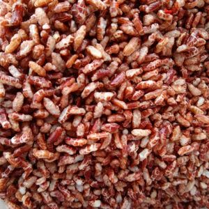 GRAINS DE RIZ BRUN DE QUALITÉ SUPÉRIEURE/PROCESSUS NATUREL/NON-GMO/HAUTE QUALITÉ - Product Image 6