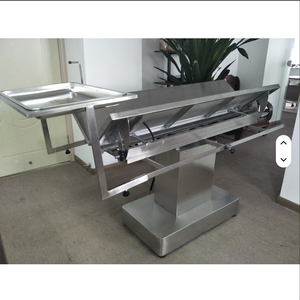 Table d'opération vétérinaire électrique pour clinique/hôpital vétérinaire, conforme aux normes européennes, PRÊTE À LA VENTE - Product Image 1