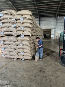 2024-2025 NOUVELLE récolte Robusta Coffee Bean SCR 13 16 18 vert et torréfié direct Vietnam ROBUSTA COFFEE BEAN Brand Grade 60KG Jute Bag - Product Image 2