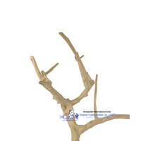 Hot Items-Classique Java Bois Oiseau Perche Écologique Multi Branche Oiseau Jouet Du Vietnam Fabricant En Gros