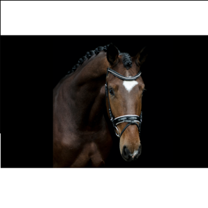 Vente en gros de bride de cheval en cuir véritable de fabricants Vente en gros de bride de cheval en cuir véritable de haute qualité - Product Image 4