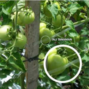 Cuerda Agrícola de Alta Calidad Resistente a los Rayos UV, de una Sola Hebra, 3 mm, 600 m, No se Puede Empalmar, para Soporte de Plantas, Enrejados y Uso Agrícola - Product Image 4