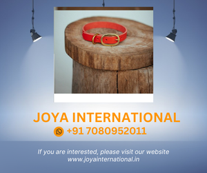 Collar para perro clásico, 15mm, Rojo - Product Image 2