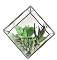 Terrarium décoratif pour la maison Forme carrée Verre et cadre fini de couleur noire Idéal pour le stockage de plantes et de fleurs de table élégantes
