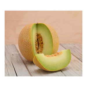 Cubes de melon et de pastèque congelés IQF biologiques de haute qualité cantaloup et pastèque frais idéal pour la vente en gros à un bon prix - Product Image 6