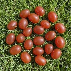 หินอัญมณีคาร์เนเลี่ยนธรรมชาติหินอัญมณีอัญมณีอัญมณีบริสุทธิ์ทรงหลวมเรียบอัญมณีอัญมณีออนไลน์ - Product Image 2