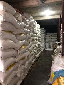 Robusta Séché Grains de Café Torréfiés Sac de 50kg - Product Image 2