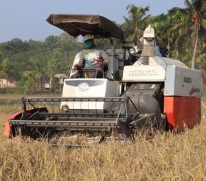 Cosechadora de Arroz de Alta Eficiencia con Motor y Transmisión por Engranajes para la Agricultura Moderna de Campos de Arroz - Product Image 4