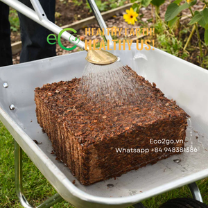Nén <span class=keywords><strong>Coco</strong></span> than bùn khối/<span class=keywords><strong>Coco</strong></span> than bùn khối Báo Chí tự nhiên và phân hủy sinh học/<span class=keywords><strong>5KGS</strong></span> khối <span class=keywords><strong>Coco</strong></span> than bùn bởi eco2go Việt Nam - Product Image 2