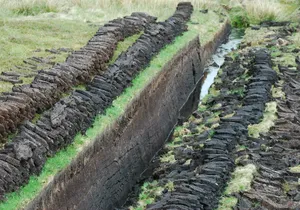 Tarım organik gübre için öğütülmüş turba yüksek kaliteli doğal sürdürülebilir çevre dostu turba yosun - Product Image 2