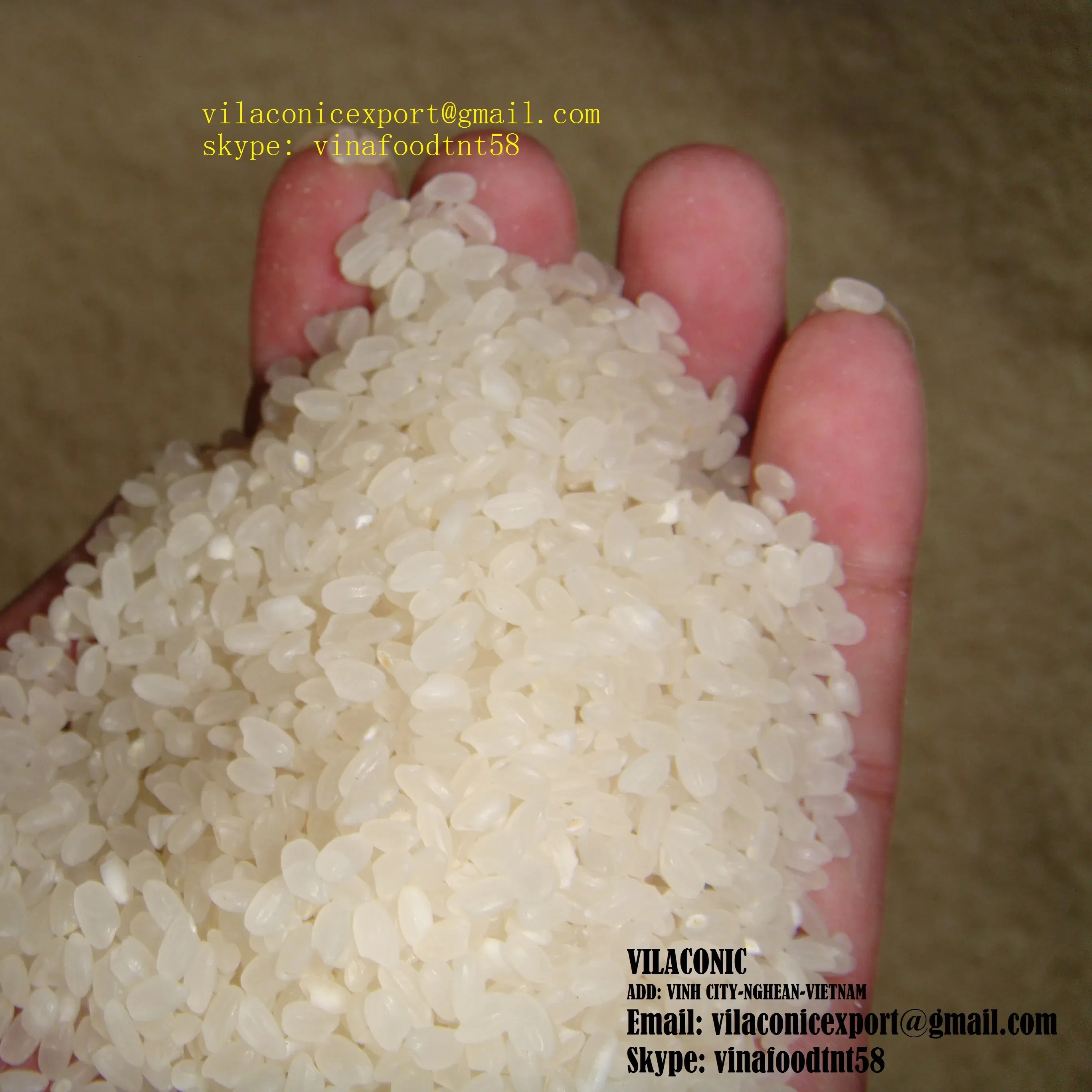 Vietnam bulat/pendek Grain Japonica beras Sushi 5% rusak (WS:/Rice)