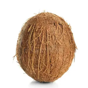 Fresh Organic Dehusked Coconuts for Sale Cheap Price Young Coconut Dehusking Supplier