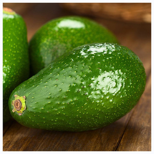 Fournisseurs en gros d'avocats Hass cultivés couramment - Product Image 4