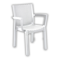 Chaise de salle à manger moderne en rotin plastique résistant aux UV, imperméable, durable et facile à nettoyer pour appartement, hôtel, école, parc, cuisine, villa