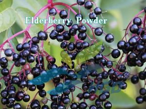 Suministro directo de fábrica HGO de polvo de saúco natural puro (grado alimenticio) Especificación de polvo de fruta (polvo de fruta o vegetal) - Product Image 2