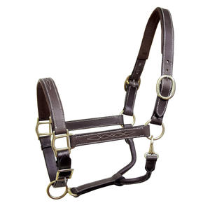 Fait sur mesure cheval licou produit équestre cheval licou pour chevaux Offre Spéciale nouvelle mode cuir équitation licous qualité supérieure - Product Image 4