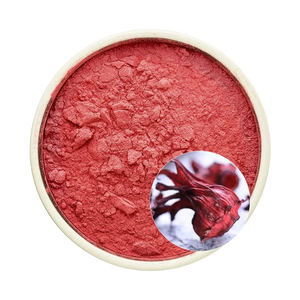 Polvo de Hibisco Puro al por Mayor para Cabello y Piel, Hierbas Ayurvédicas 100% Naturales y Orgánicas para el Crecimiento del Cabello, Brillo y Control de la Caspa - Product Image 6