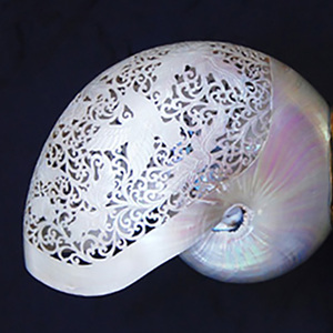 Para Nautilus estilo tallado arte SEASHELL JOYERÍA Madre de perla Motivo de concha marina Estilo animal crudo - Product Image 3