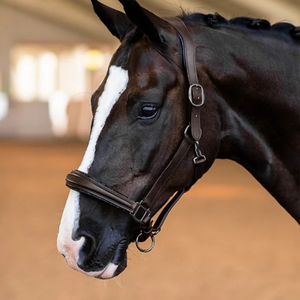 Bride inspirée pour chevaux en cuir véritable offrant un ajustement réglable, une grande durabilité et une qualité équestre professionnelle - Product Image 2