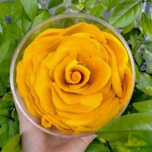 Mangue séchée Sunrise en gros, marque privée OEM, tranches sucrées conservées au sel, en vrac AD 5kg, 12 mois, Vietnam - Product Image 6