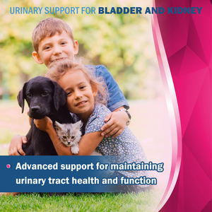 Suplemento natural para la salud de la vejiga urinaria 100%, masticables suaves de arándano para perros y gatos, infecciones del tracto urinario - Product Image 4