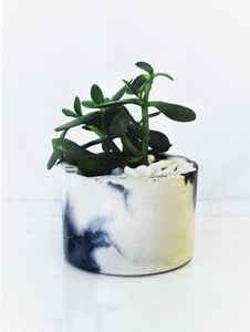 MACETAS FLORES - Product Image 3