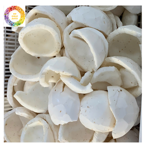 Carne de coco congelada IQF de Vietnam, ideal para fábricas de alimentos, heladerías y mezclas de jugos - Product Image 2