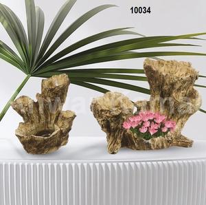 Raíz de Scano - Product Image 1