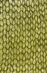 สินค้าที่ไม่เหมือนใครสำหรับขายออนไลน์ เสื้อครอปถักนิตติ้ง 2026 เสื้อผ้าผู้หญิง รับทำโลโก้ เสื้อและเสื้อเชิ้ตสำหรับผู้หญิง/ถักด้วยมือ - Product Image 5