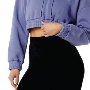Sweats à capuche épais 100% coton personnalisés de haute qualité pour femmes sweats à capuche d'hiver coupe ample pour femmes avec service OEM - Product Image 2