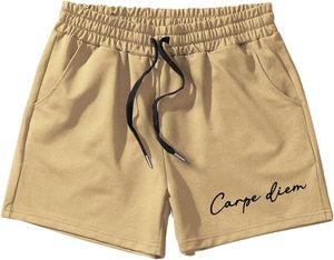 Pantalones cortos de verano de alta calidad estilo de Venta caliente pantalones cortos de algodón de rizo francés reflectante hombres Color caqui pantalones cortos de playa - Product Image 2